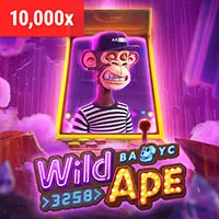 Hình ảnh minh họa bảo mật dữ liệu trên nền tảng hz88 casino, mã hóa và bảo vệ mạng lưới